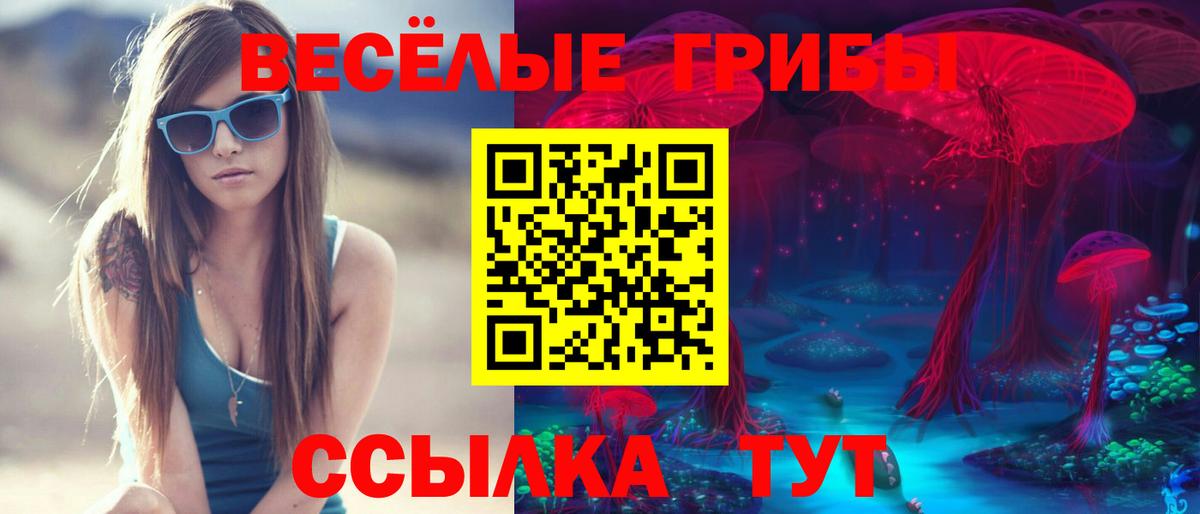 Псилоцибиновые грибы Psilocybine cubensis Кимры