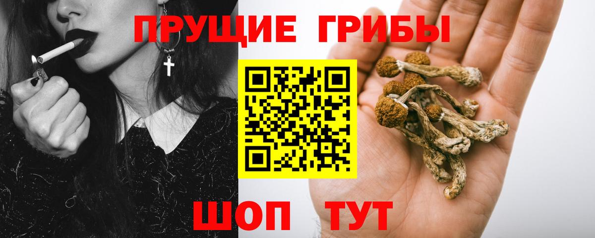 Кимры  Галлюциногенные грибы ЛСД  Вход с VPN  Псилоцибиновые грибы прущие грибы 